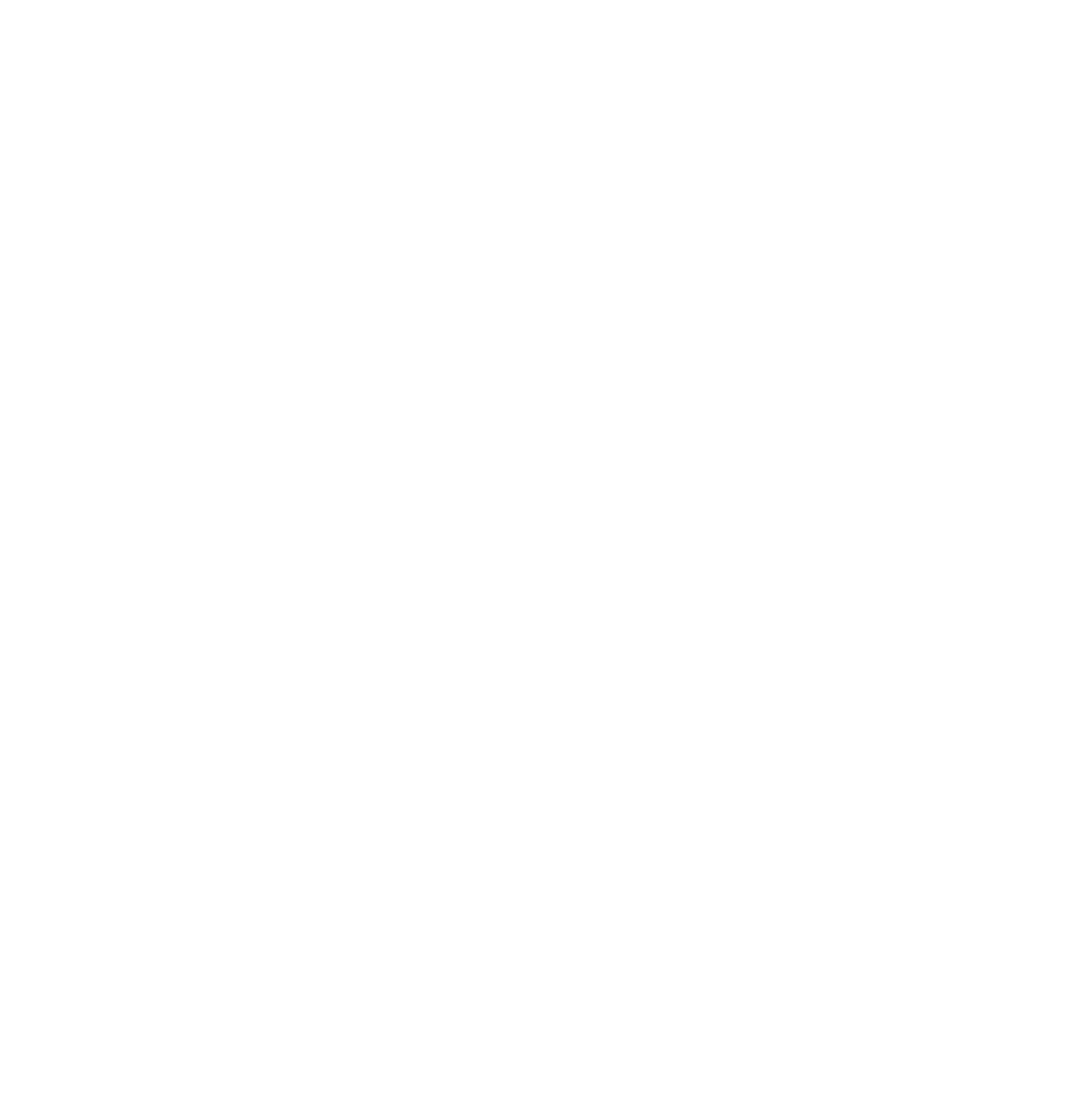 Avimo Dienstrad