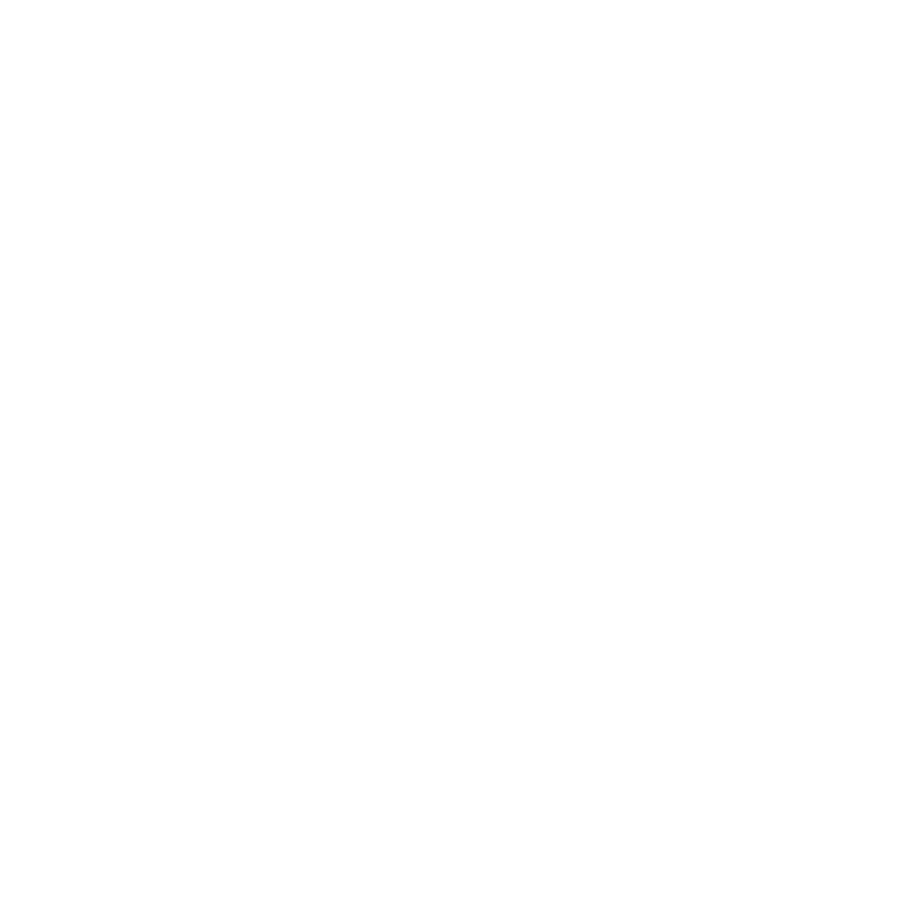 Garmin Logo