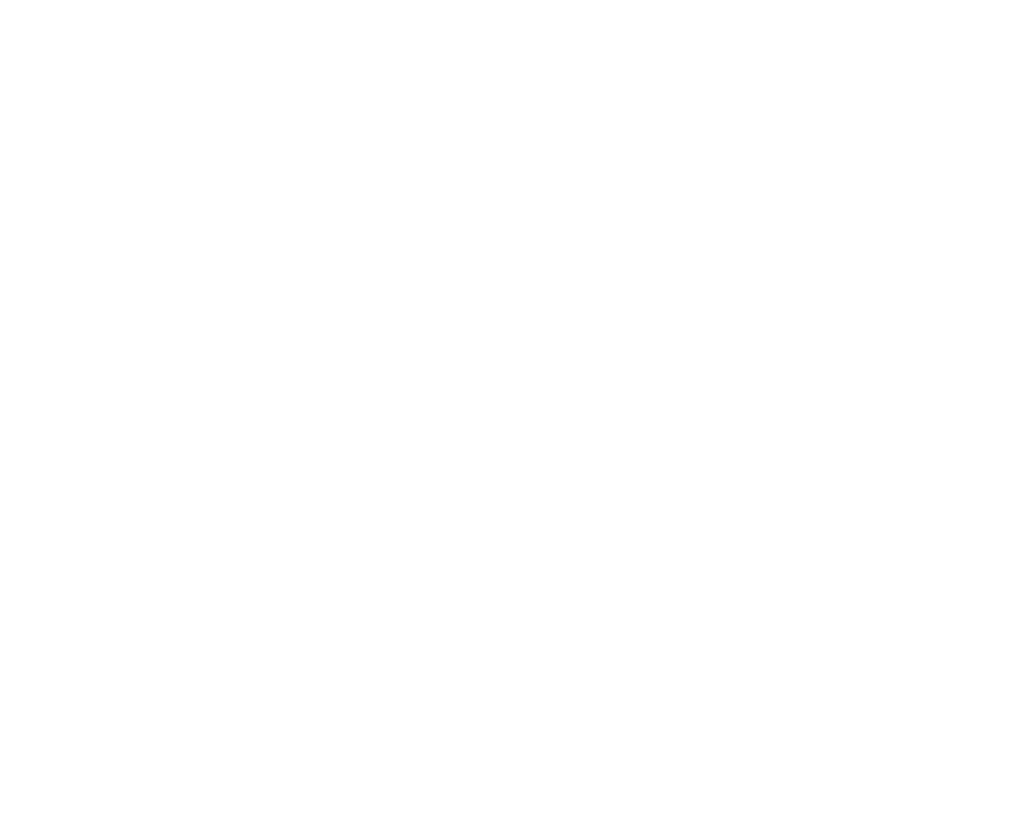 Specialized Logo 2